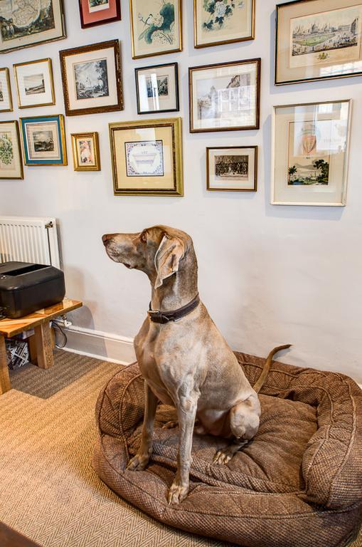White Hart Inn Wells Bagian luar foto